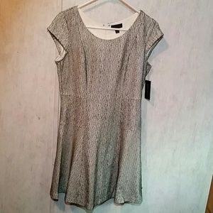 Worthington Black and white lace dress sz 6 NWT